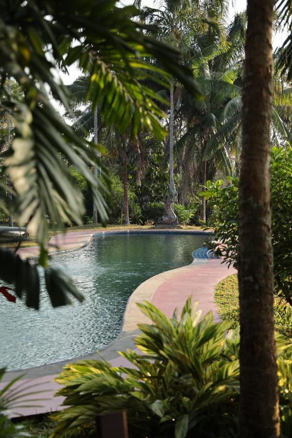 Naga Hill Resort Chiang Rai Exterior foto